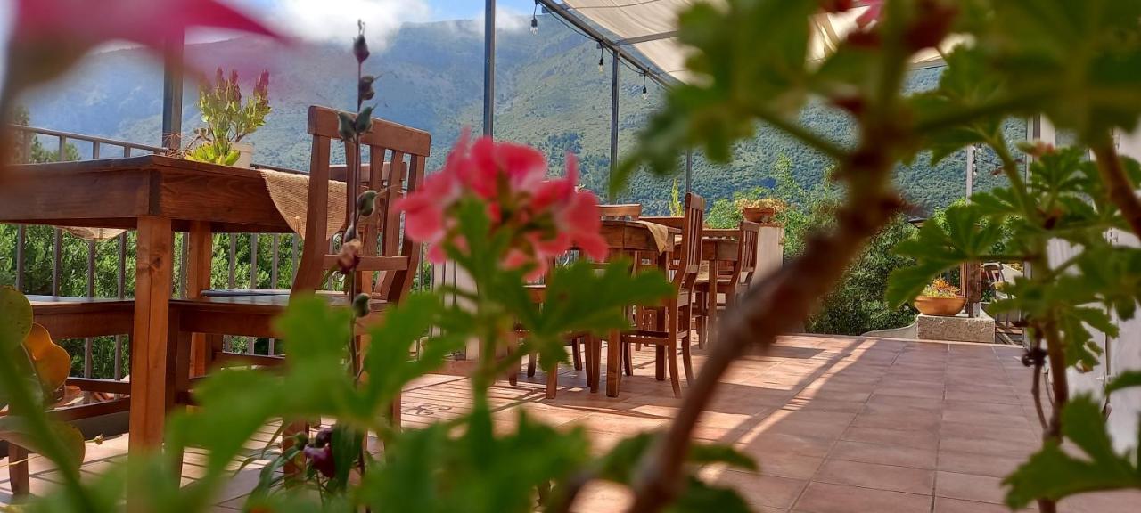 B&B Da Maria Teresa - Maratea Εξωτερικό φωτογραφία